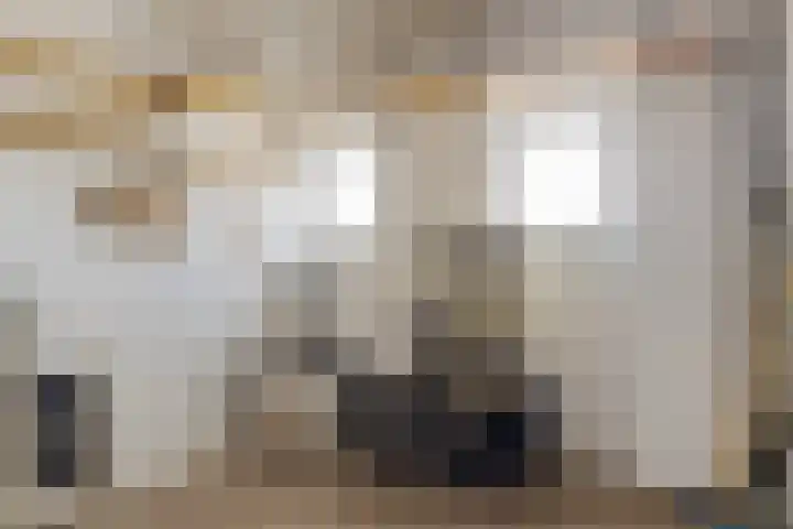 Linnaeusweg 56 Boskoop thumbnail 25
