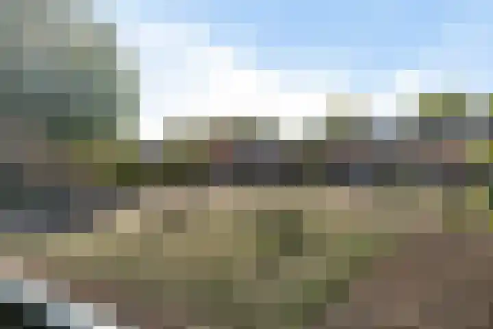 Linnaeusweg 56 Boskoop thumbnail 26