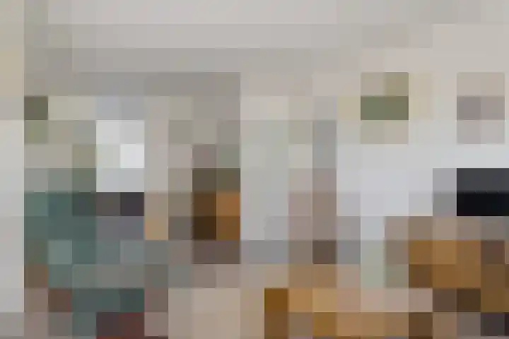 Linnaeusweg 56 Boskoop thumbnail 4