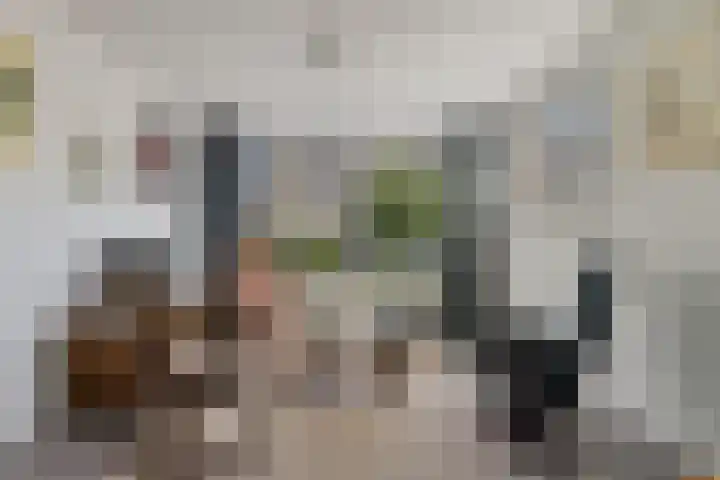 Linnaeusweg 56 Boskoop thumbnail 6
