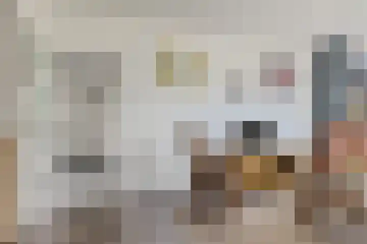 Linnaeusweg 56 Boskoop thumbnail 7