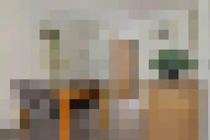 Linnaeusweg 56 Boskoop thumbnail 8