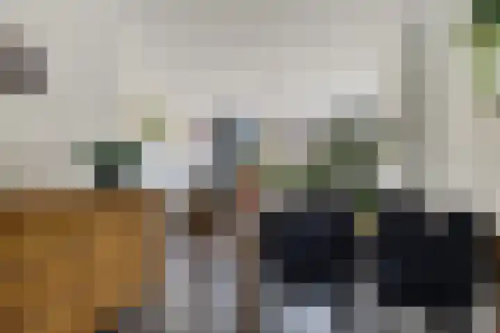 Linnaeusweg 56 Boskoop thumbnail 9