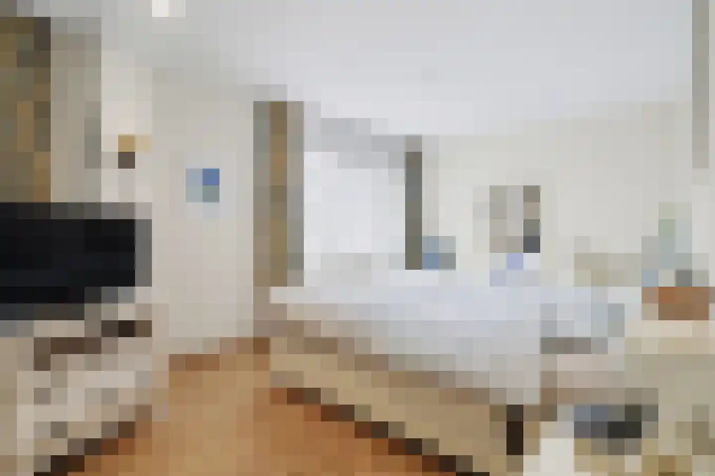 Linnaeusweg 64 Venlo thumbnail 12