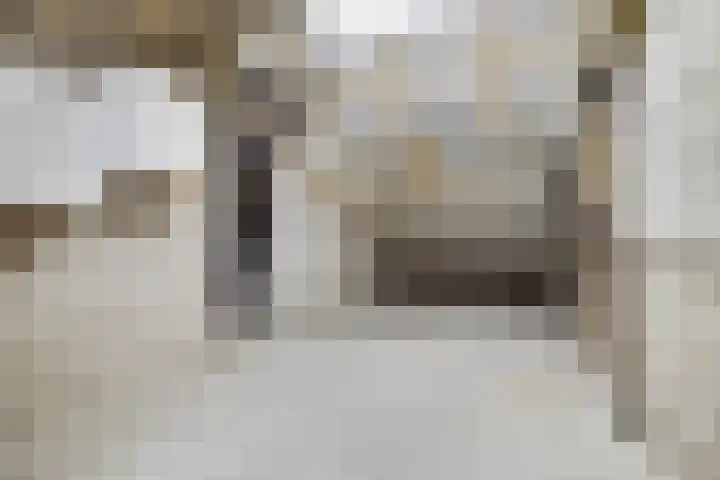 Linnaeusweg 64 Venlo thumbnail 18
