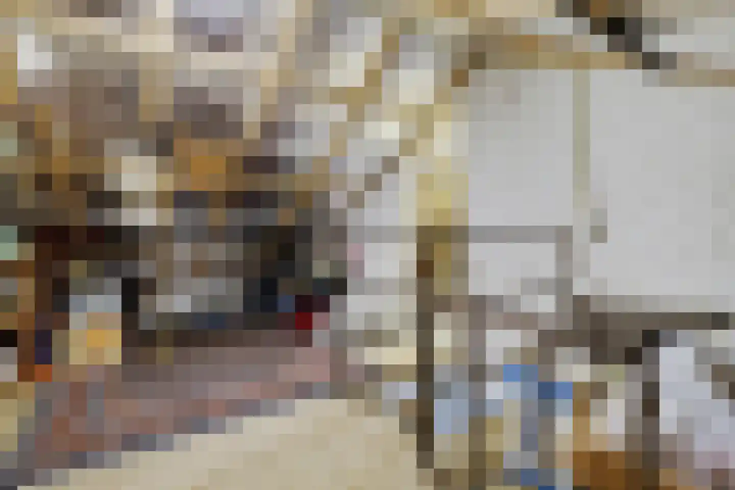 Linnaeusweg 64 Venlo thumbnail 19