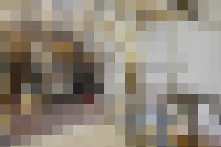 Linnaeusweg 64 Venlo thumbnail 19