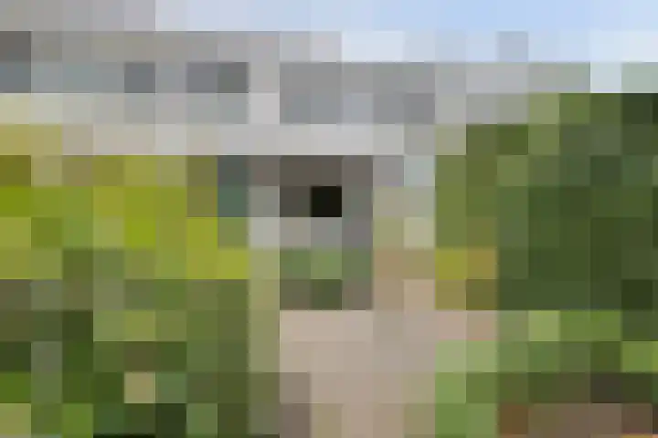 Linnaeusweg 64 Venlo thumbnail 20