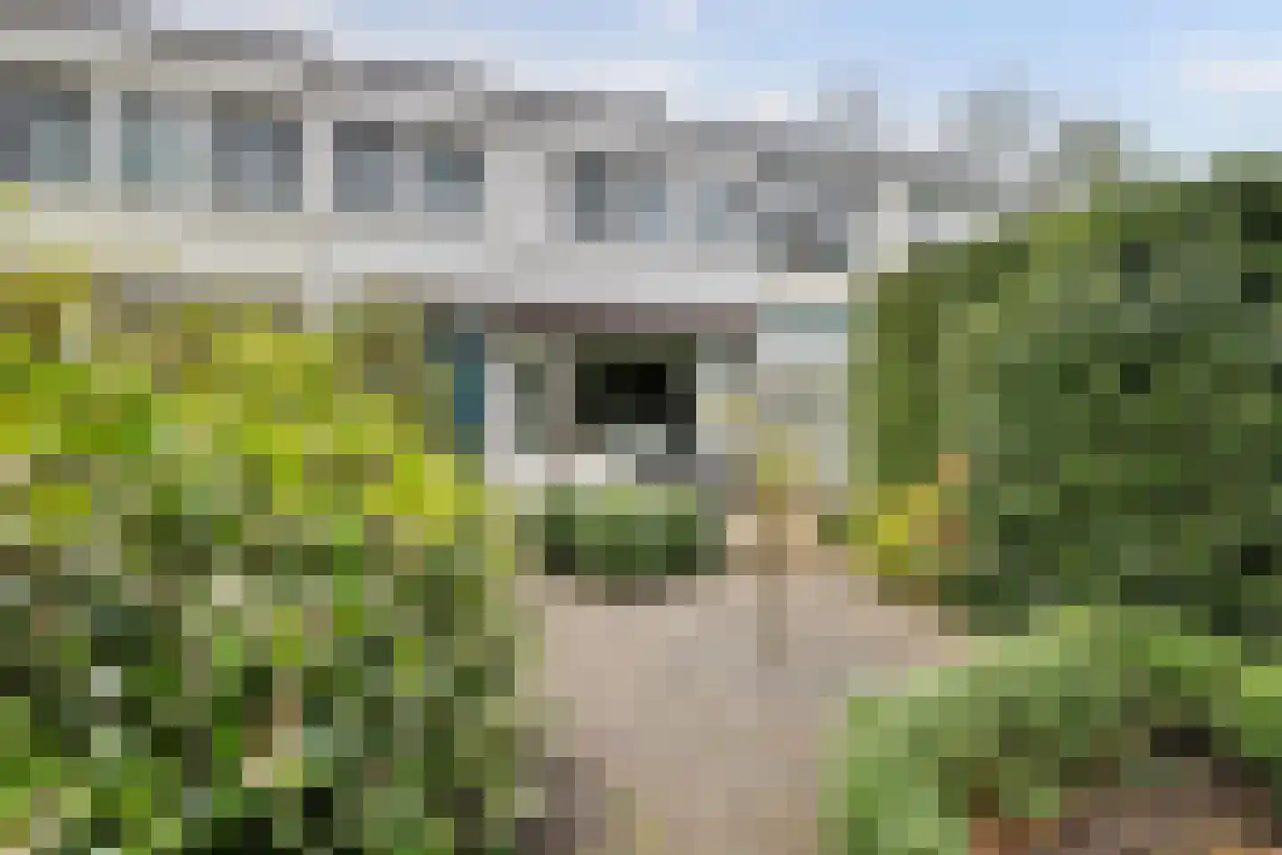 Linnaeusweg 64 Venlo thumbnail 20