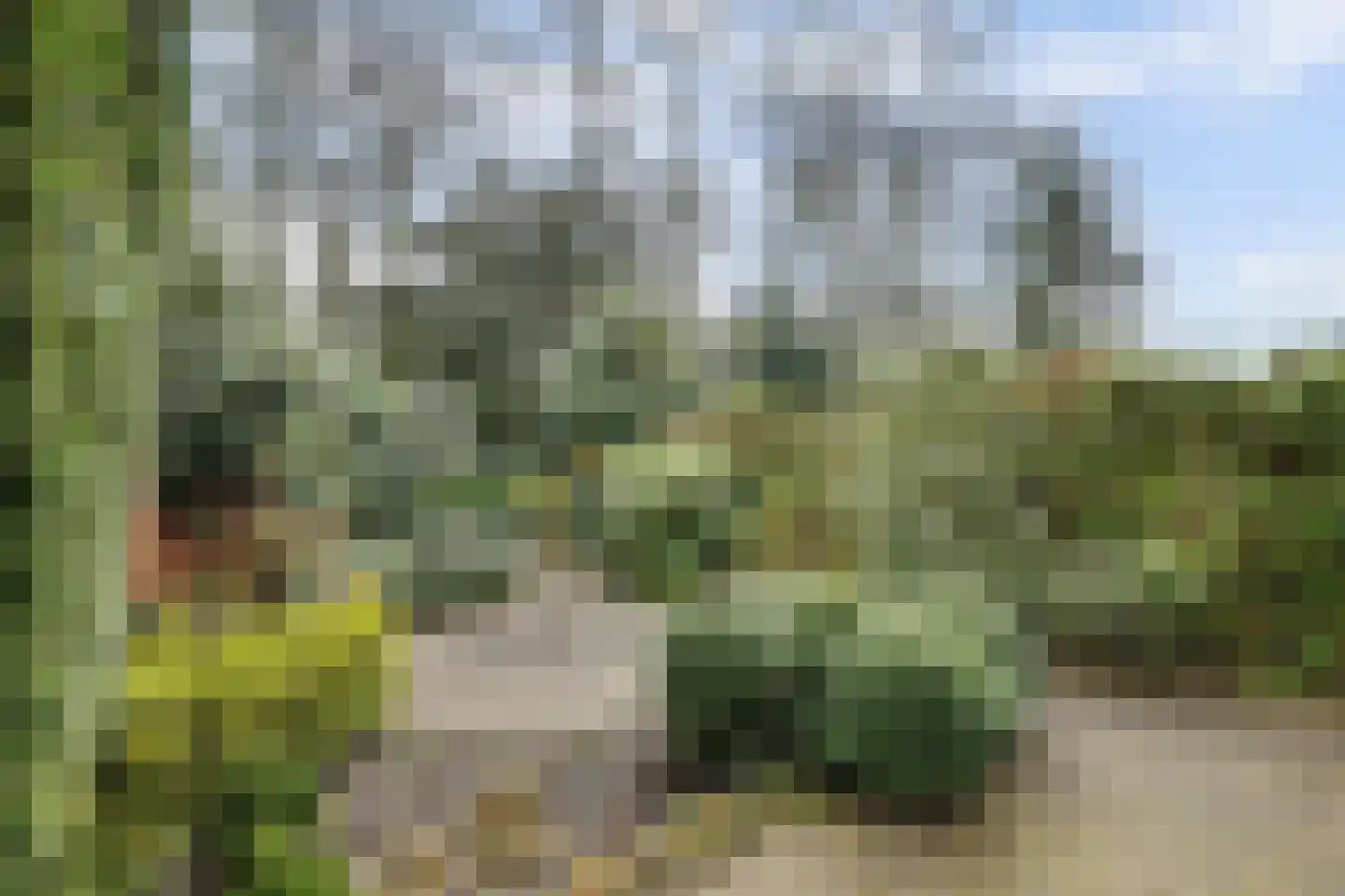 Linnaeusweg 64 Venlo thumbnail 21