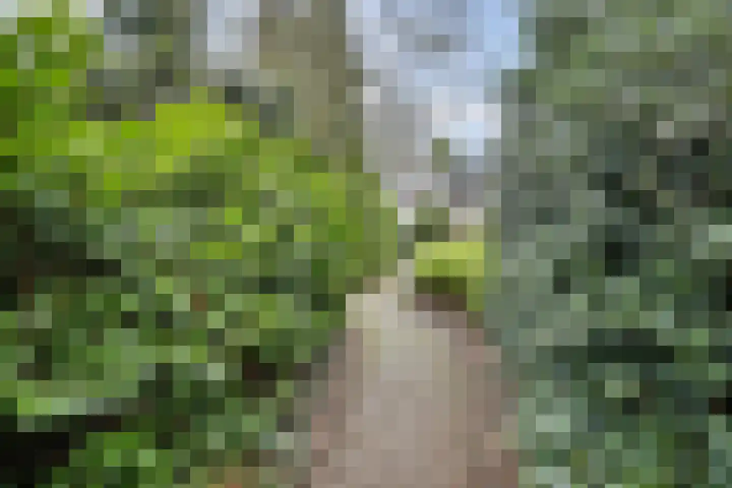 Linnaeusweg 64 Venlo thumbnail 23