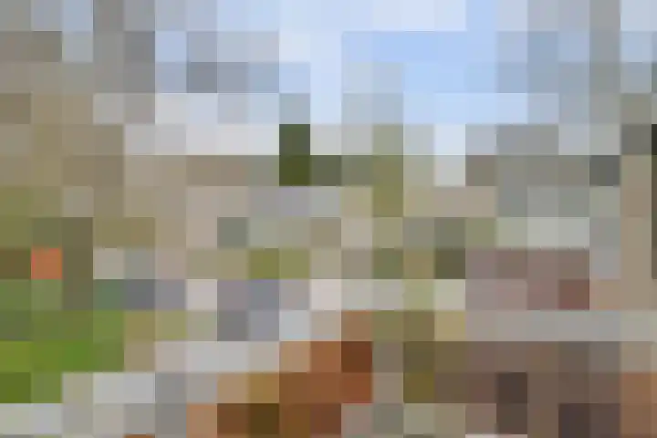 Linnaeusweg 64 Venlo thumbnail 24