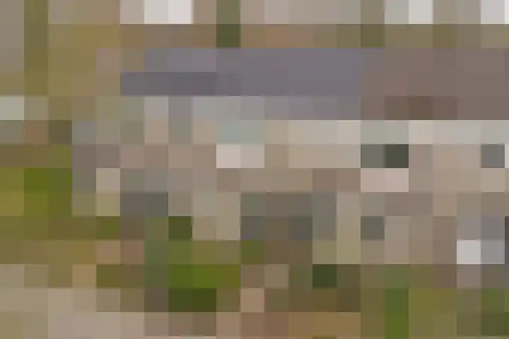 Linnaeusweg 64 Venlo thumbnail 25