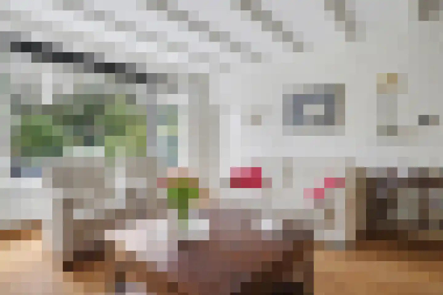 Linnaeusweg 64 Venlo thumbnail 4