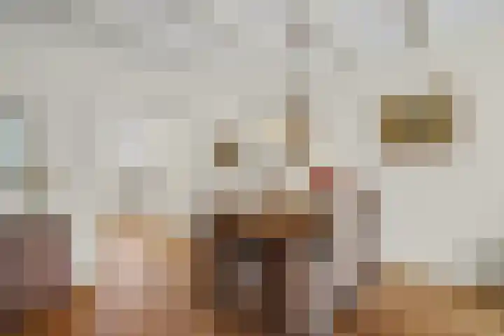 Linnaeusweg 64 Venlo thumbnail 6