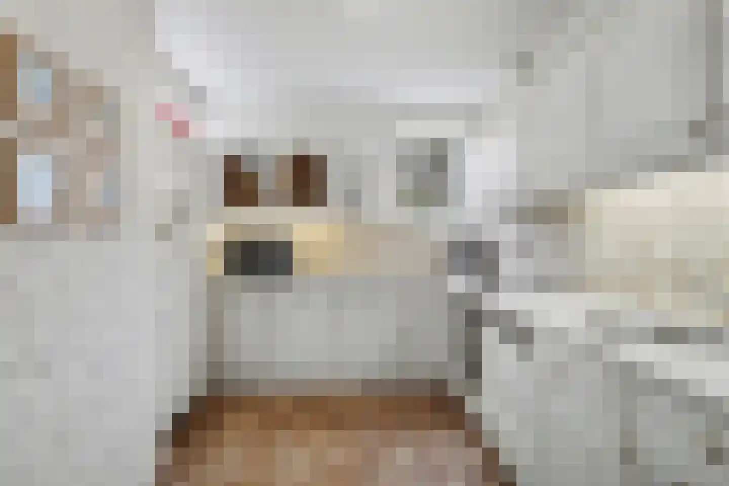 Linnaeusweg 64 Venlo thumbnail 7