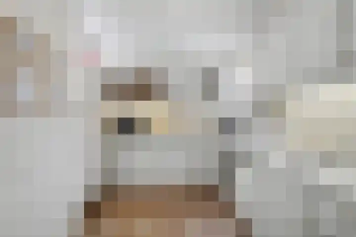 Linnaeusweg 64 Venlo thumbnail 7
