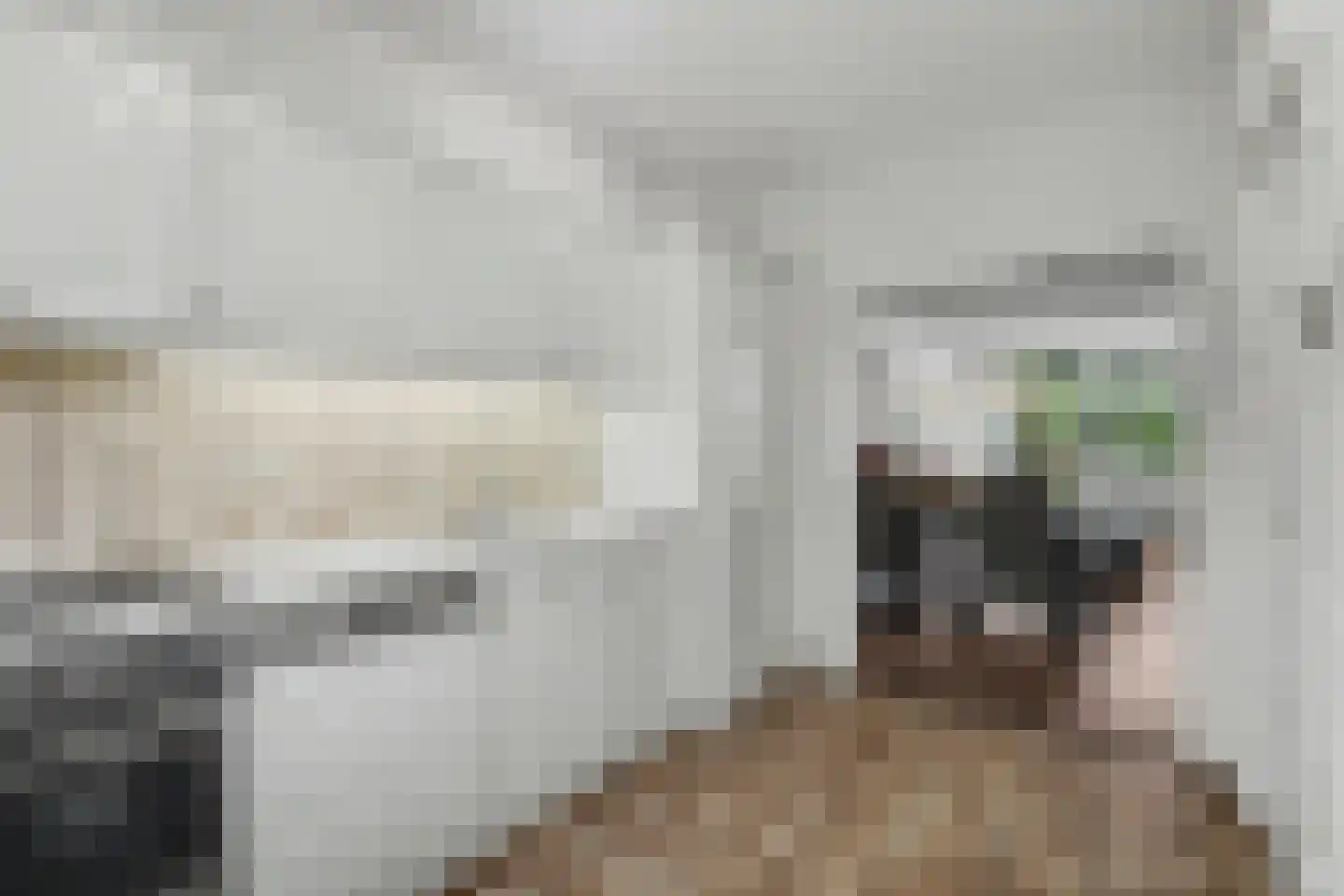 Linnaeusweg 64 Venlo thumbnail 8