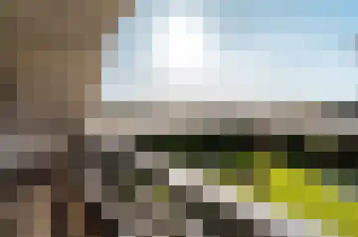 Linnaeusweg 9 Almere thumbnail 30