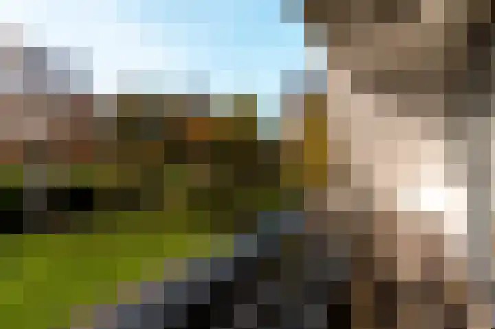 Linnaeusweg 9 Almere thumbnail 32