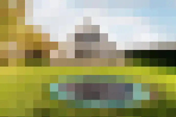Linnaeusweg 9 Almere thumbnail 4