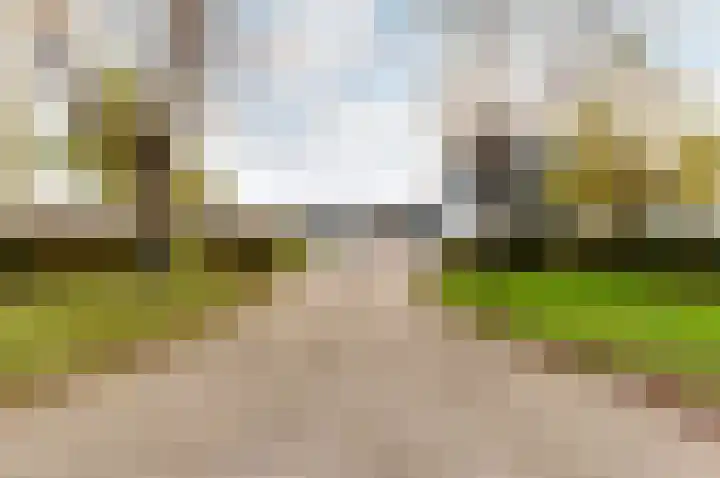 Linnaeusweg 9 Almere thumbnail 5