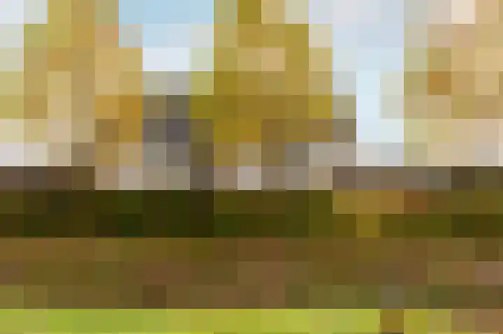 Linnaeusweg 9 Almere thumbnail 56