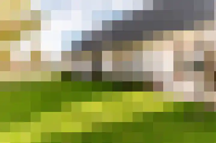 Linnaeusweg 9 Almere thumbnail 6