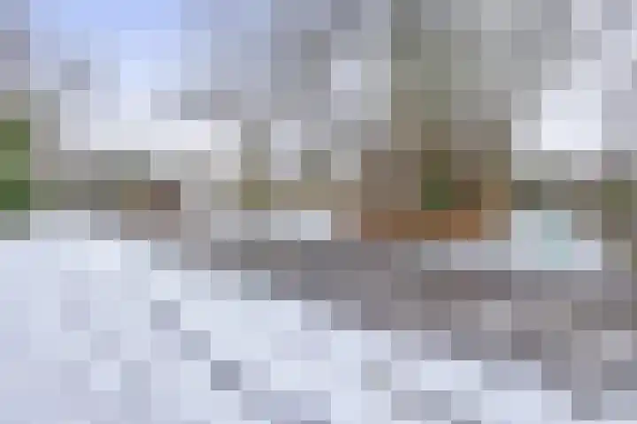 Linnaeusweg 96 Venlo thumbnail 21