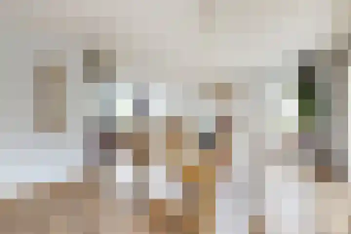 Linnenstraat 1 Dinteloord thumbnail 19