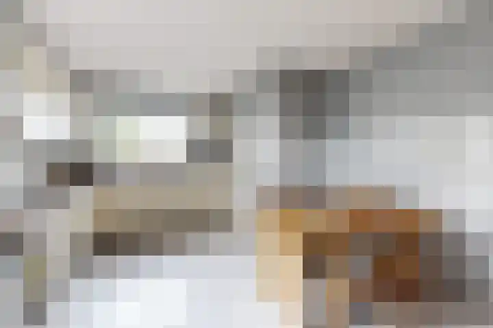 Linnenstraat 1 Dinteloord thumbnail 23