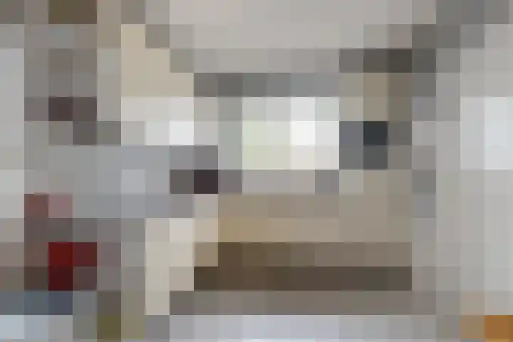 Linnenstraat 1 Dinteloord thumbnail 24