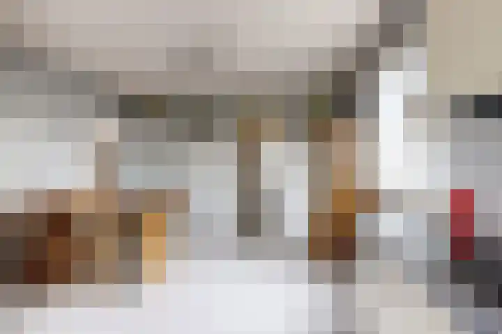 Linnenstraat 1 Dinteloord thumbnail 26