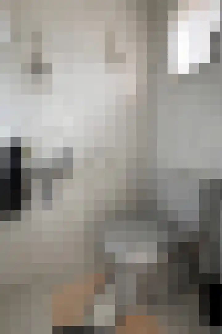 Linnenstraat 1 Dinteloord thumbnail 28