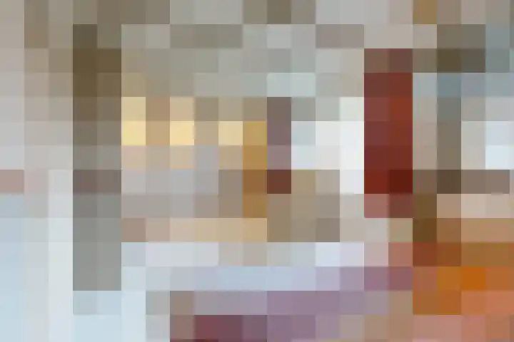 Linnenstraat 1 Dinteloord thumbnail 32