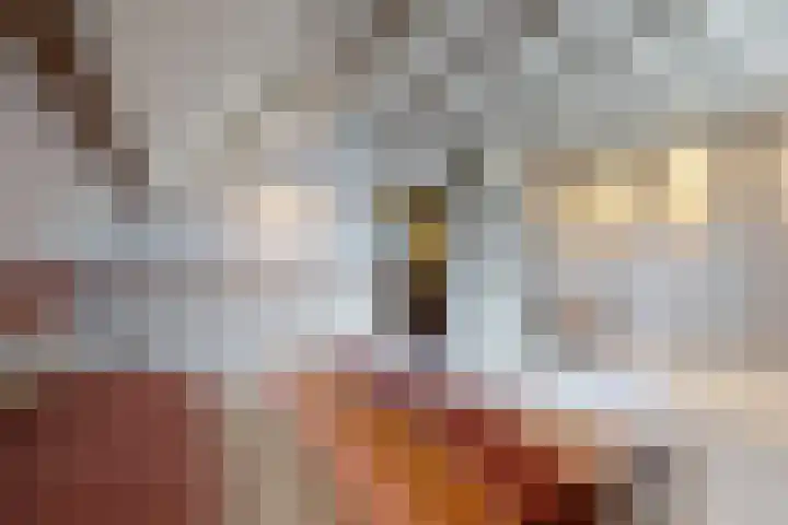 Linnenstraat 1 Dinteloord thumbnail 33