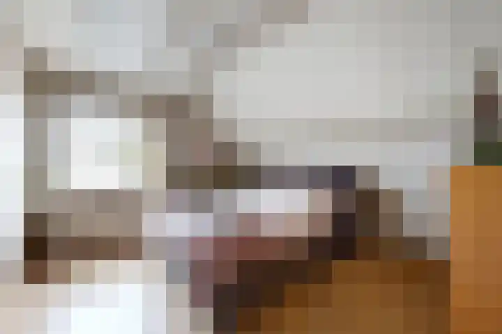 Linnenstraat 1 Dinteloord thumbnail 35