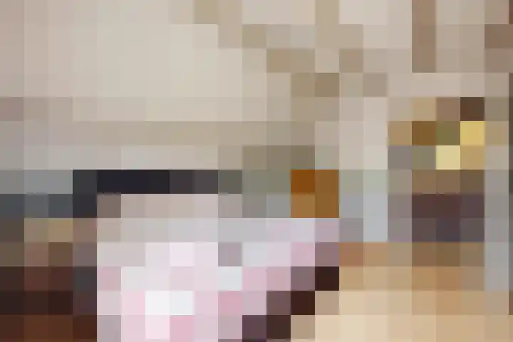 Linnenstraat 1 Dinteloord thumbnail 36