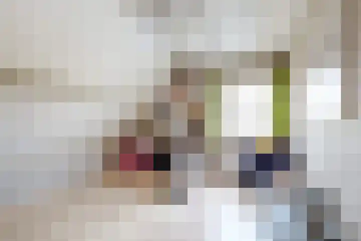 Linnenstraat 1 Dinteloord thumbnail 37