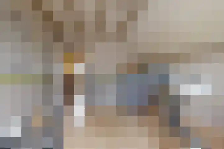 Linnenstraat 1 Dinteloord thumbnail 38