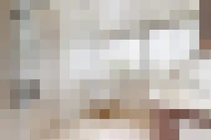 Linnenstraat 1 Dinteloord thumbnail 39