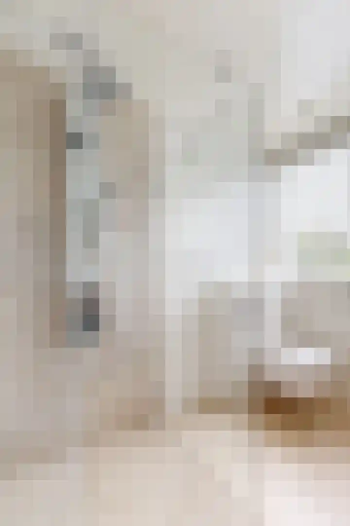 Linnenstraat 1 Dinteloord thumbnail 42