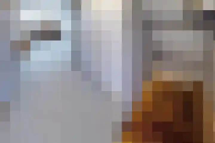 Linnenstraat 1 Dinteloord thumbnail 43