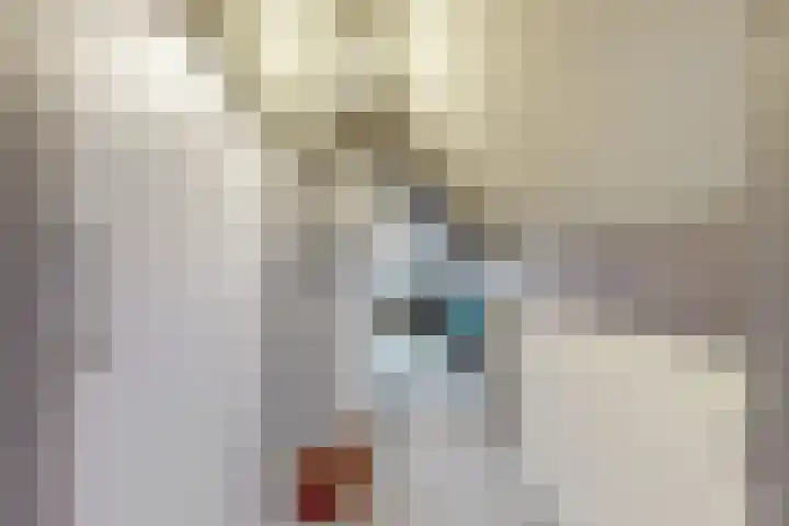 Linnenstraat 1 Dinteloord thumbnail 47