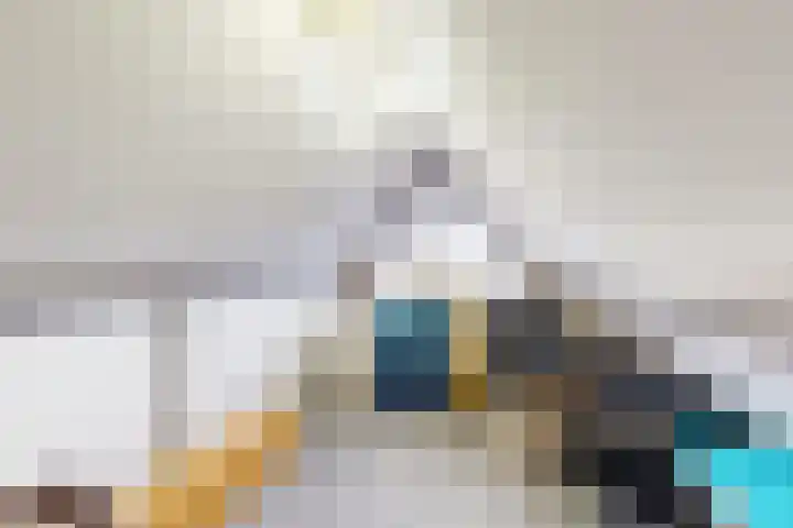 Linnenstraat 1 Dinteloord thumbnail 48