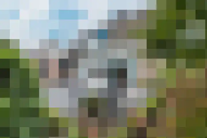 Linnenstraat 1 Dinteloord thumbnail 5