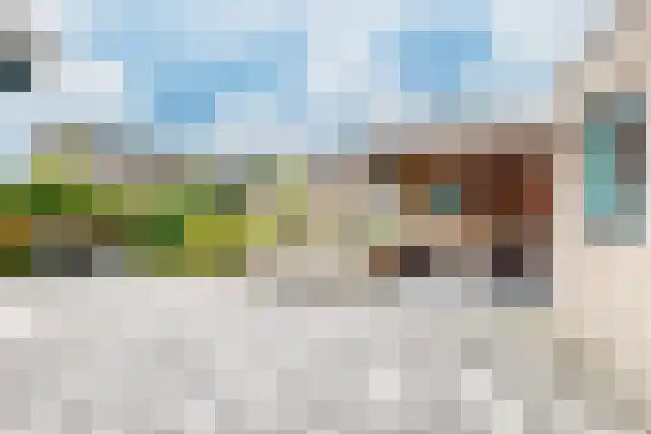 Linnenstraat 1 Dinteloord thumbnail 51
