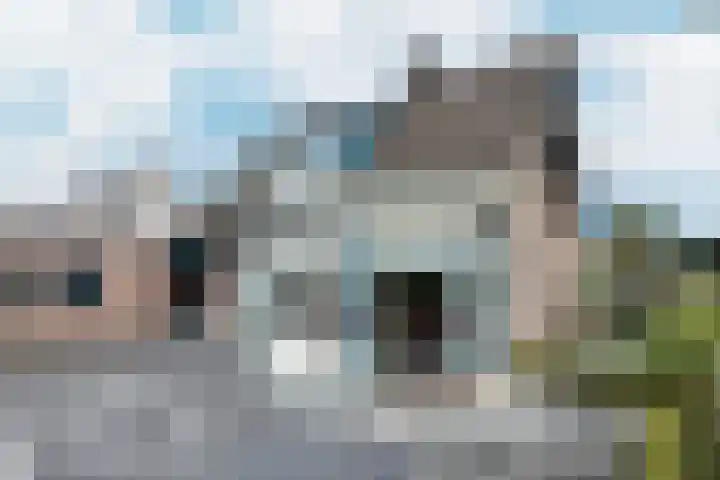 Linnenstraat 1 Dinteloord thumbnail 52