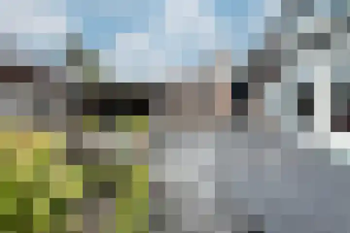 Linnenstraat 1 Dinteloord thumbnail 53