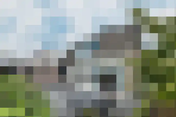 Linnenstraat 1 Dinteloord thumbnail 54